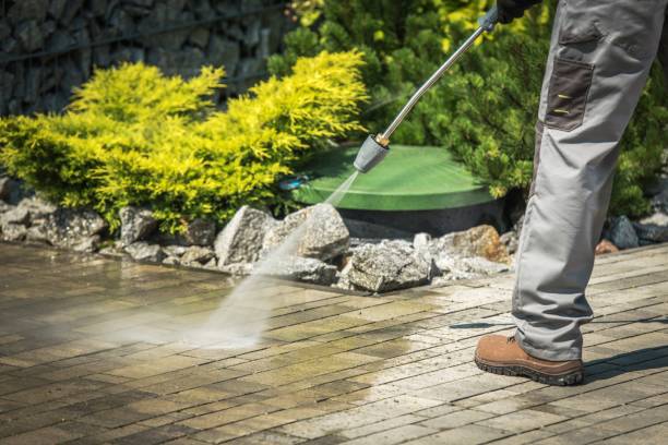 Best Roof Washing  in Corydon, IN