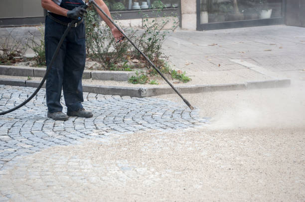 Best Driveway Pressure Washing  in Corydon, IN
