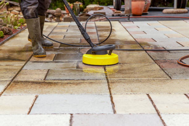 Best Roof Washing  in Corydon, IN